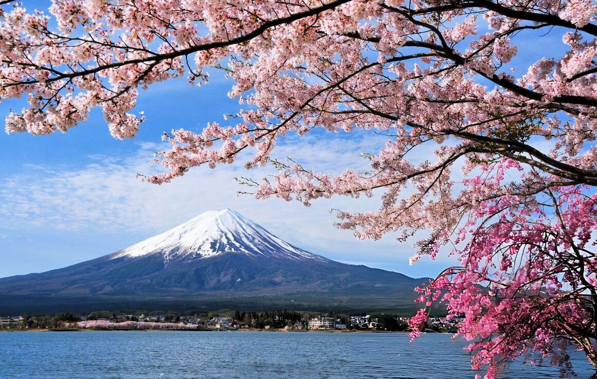 Jewels of Japan | Tokyo to Osaka Discovery