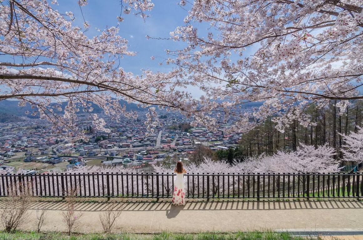 Treasures of Japan | Group Tour Package